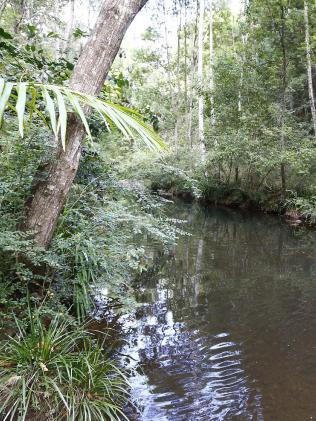 van dong vien the gioi ham hiep bien con gai ut thanh tro tieu khien suot 13 nam trong nha kho bi mat