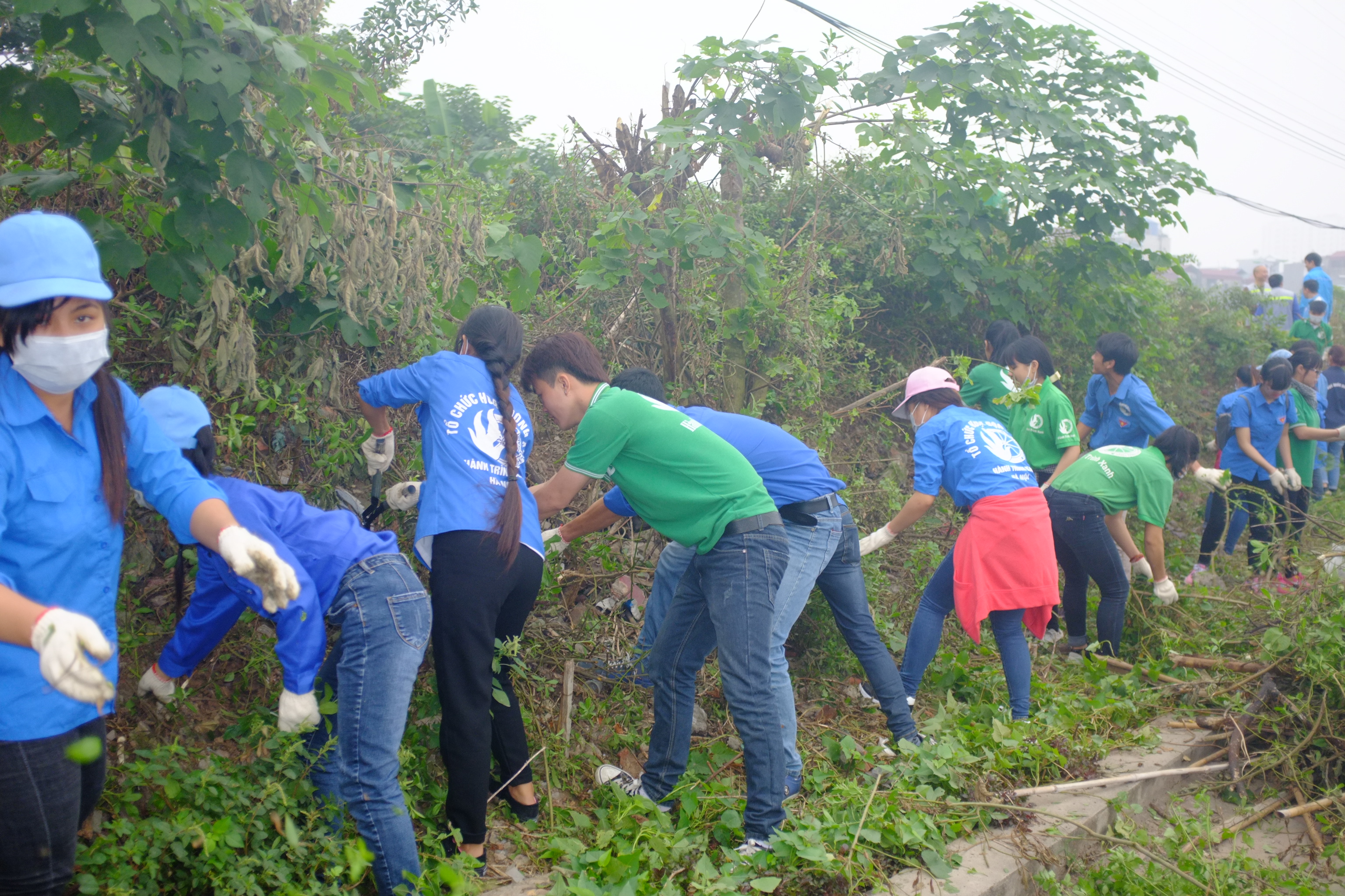 pho thu tuong vu duc dam cung thanh nien tich cuc huong ung hoat dong tu te voi moi truong