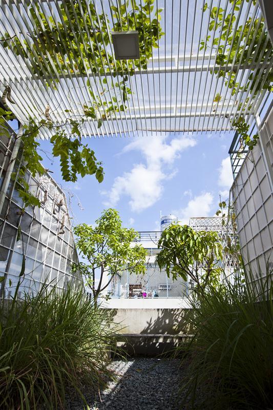 nha 3x10 cua ddconcept nho hep dau co nghia la khong duoc song suong