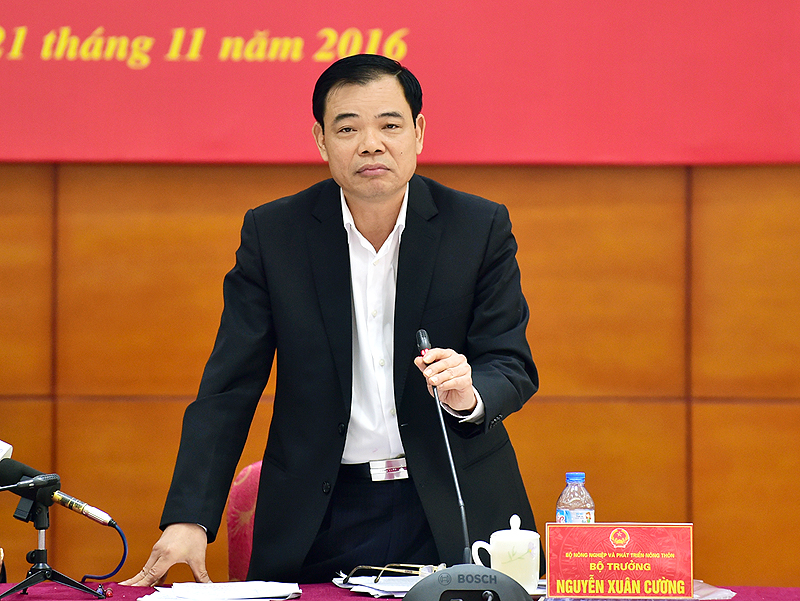 chanh thanh tra bo nong nghiep co the yen tam ve chat cam trong chan nuoi