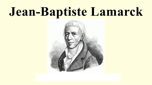 cac nha khoa hoc chung minh rang tuoi tac chi la mot con so no khong he ngan can chung ta thanh cong