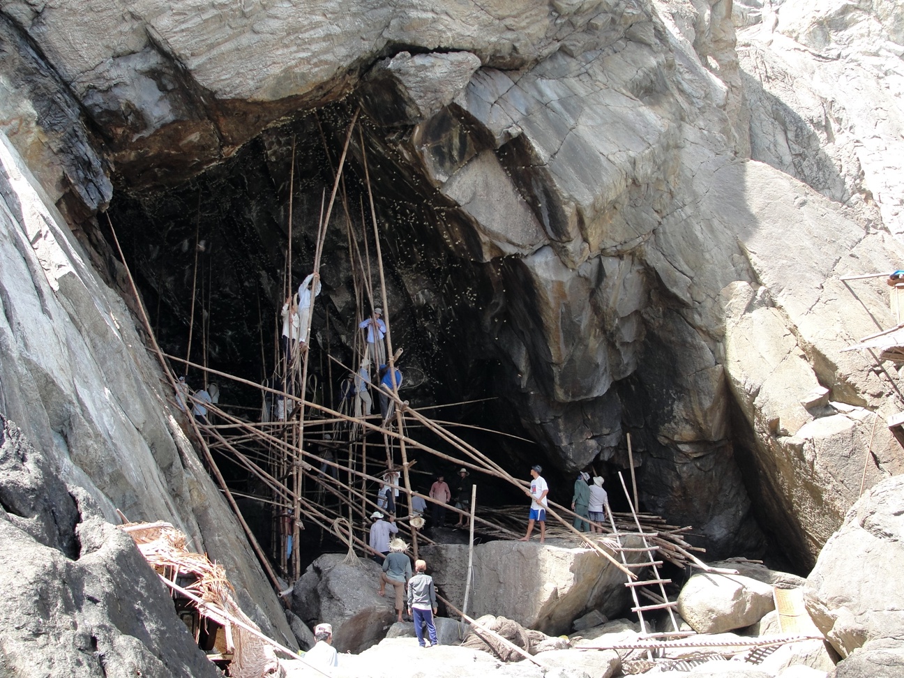 nghe khai thac yen sao thanh chau duoc cong nhan la di san van hoa quoc gia
