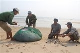 tieu huy hai san nhiem doc bang phuong phap chon lap an toan