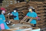 WWF khảo sát nhu cầu người dân và doanh nghiệp trồng rừng trước hiệp định VPA/FLEGT