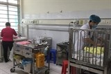chau phi 3 thang dau nam 2019 tang 700 ca soi so voi cung ky