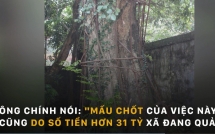 cay sua duoc vi nhu khoi vang lo thien dang chet dan xa va dan chua tim duoc dong thuan