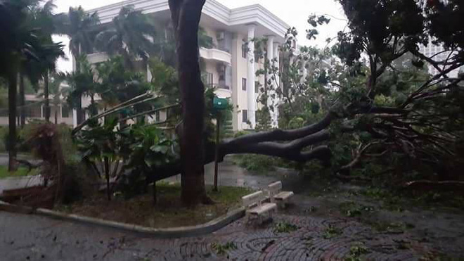 bao so 12 gay mua to gio giat kinh hoang nhieu xe may o nha trang khanh hoa bi quat nga la liet giua duong