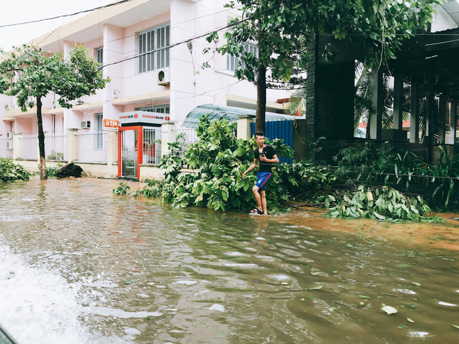 chum anh duong pho nha trang tan tac sau khi con bao so 12 can quet