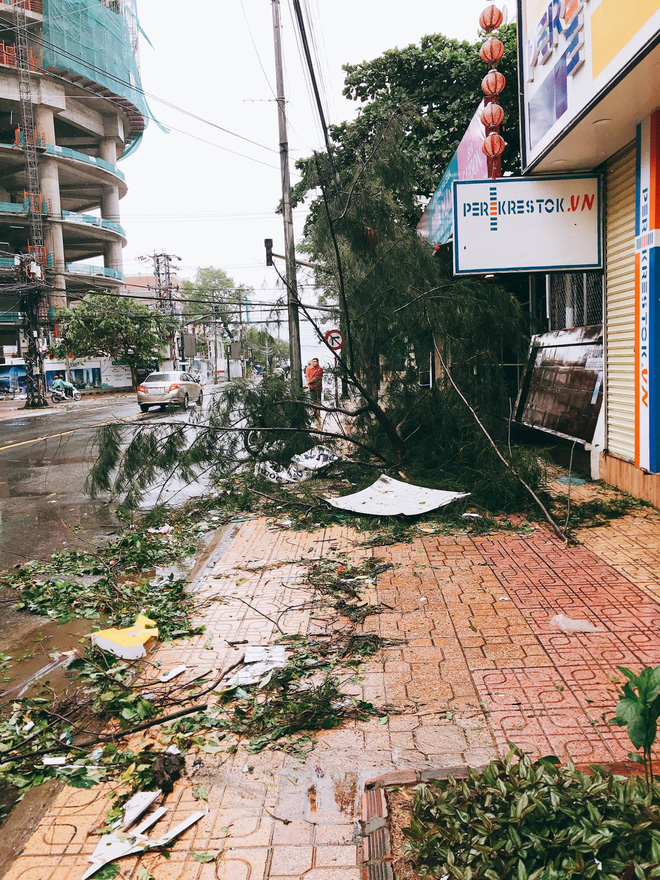 chum anh duong pho nha trang tan tac sau khi con bao so 12 can quet