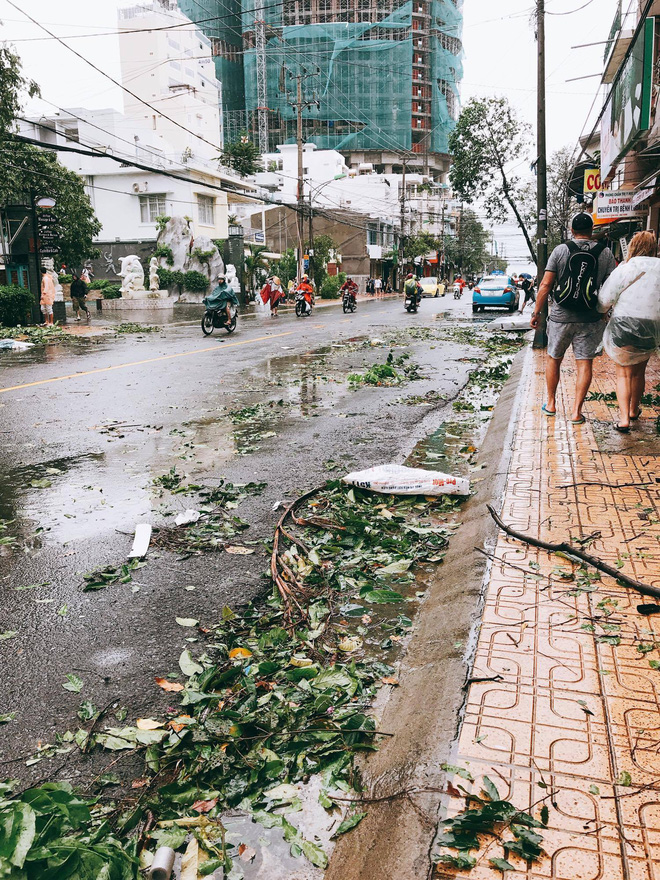 chum anh duong pho nha trang tan tac sau khi con bao so 12 can quet