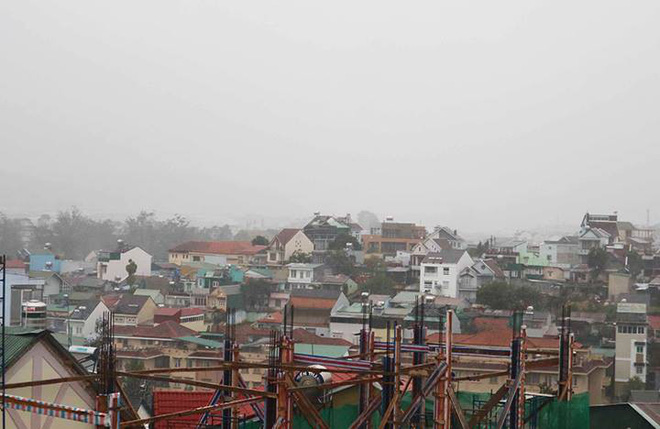 da lat hang loat cay co thu nga do cot dien gay doi sau anh huong cua con bao so 12