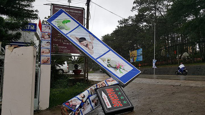 da lat hang loat cay co thu nga do cot dien gay doi sau anh huong cua con bao so 12