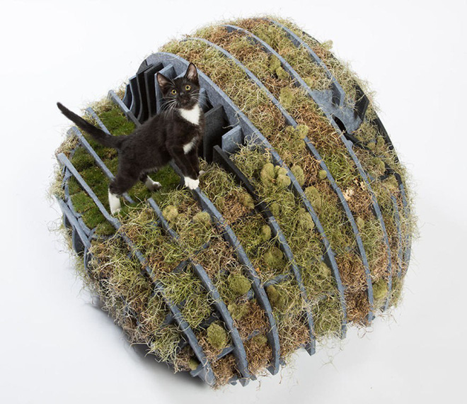 chiem nguong 13 ngoi nha doc nhat vo nhi chi danh rieng cho ho nha meo