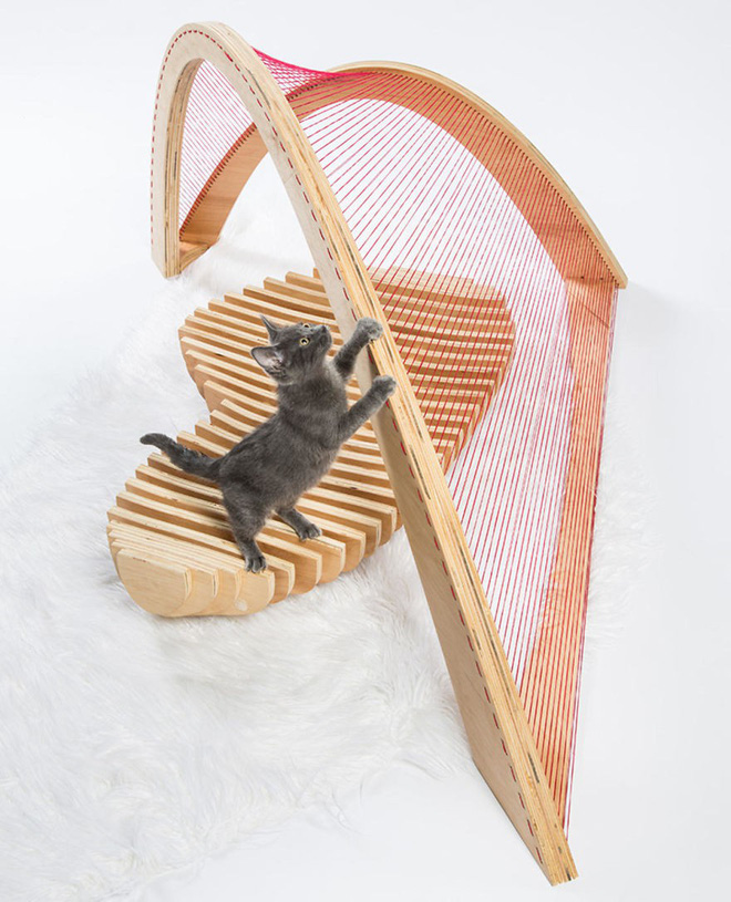 chiem nguong 13 ngoi nha doc nhat vo nhi chi danh rieng cho ho nha meo