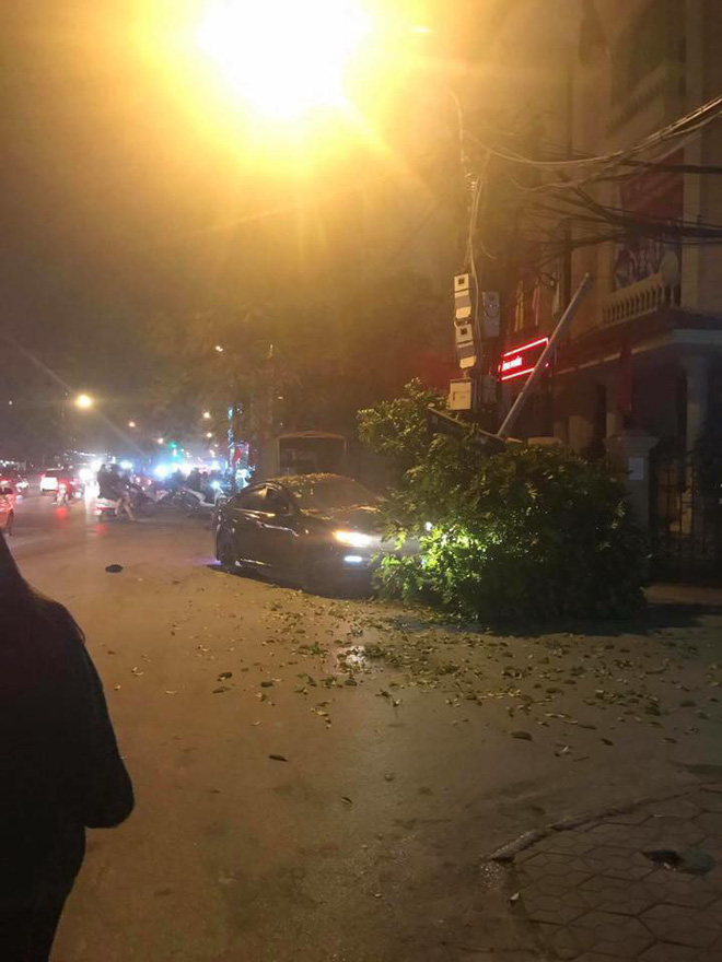 hai phong vua hit bong vua lai xe tai xe dam lien hoan 6 xe may 1 cot den va 1 goc cay