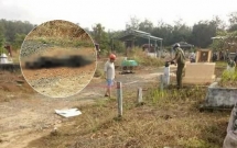 da bat duoc ke giet nguoi dot xac phi tang trong thung phi o hai phong