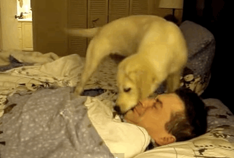 16 chu cho vao vai dong ho bao thuc chuan khong can chinh