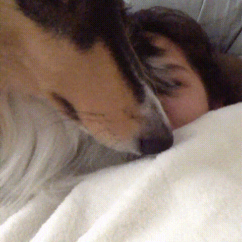 16 chu cho vao vai dong ho bao thuc chuan khong can chinh