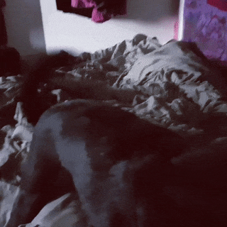 16 chu cho vao vai dong ho bao thuc chuan khong can chinh