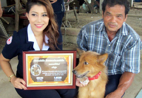 chu cho duoc tuyen duong anh hung sau khi tha ve nha mot boc rac