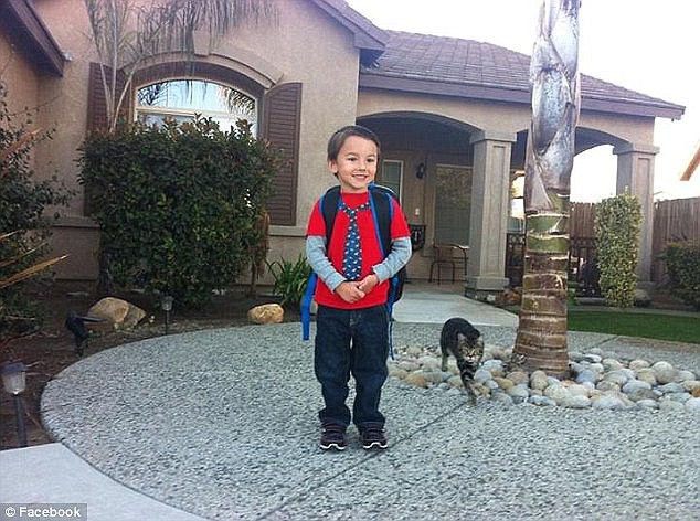 chu meo nhan giai thuong danh du chi danh cho cho nho cuu song cau be tu ky thoat chet trong gang tac