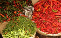 chang phai thuc pham gi cao sang day chinh la loai qua duoc nguoi dan quoc gia hanh phuc nhat the gioi ua thich