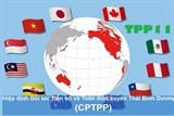 vi sao cptpp toan dien kha thi hon tpp