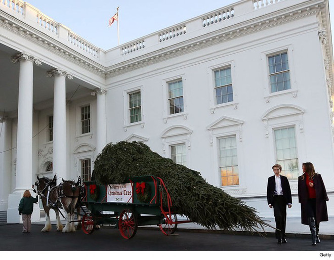 cau ut barron trump gio da cao hon ca me xuat hien banh bao tai nha trang nhung van de lo ve met moi
