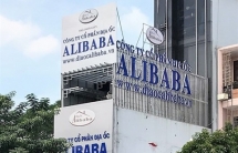 pho thu tuong chi dao xu ly nghiem vu dia oc alibaba