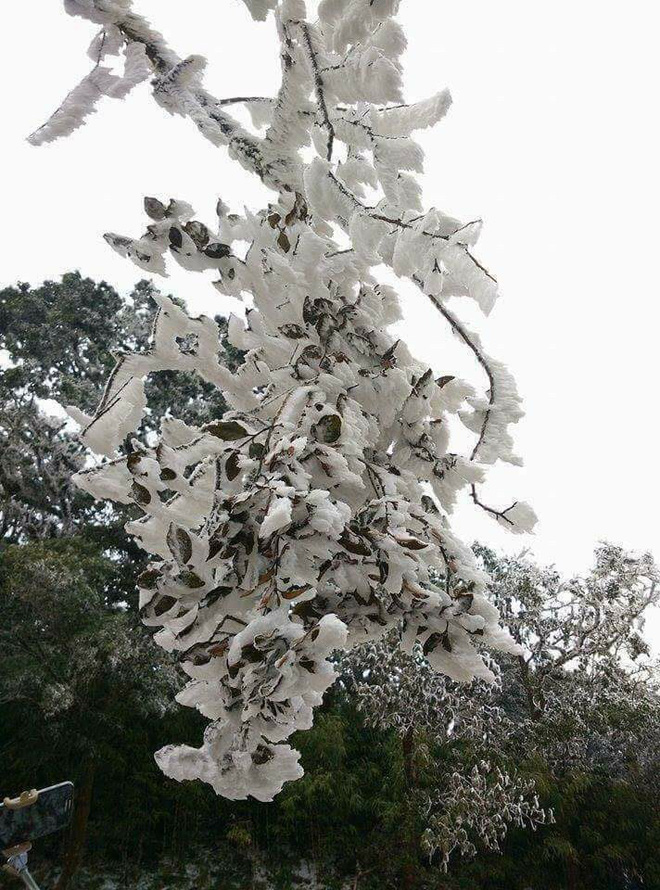 nhung hinh anh dau tien ve bang gia tren vung nui cao bang dep lung linh nhu troi au