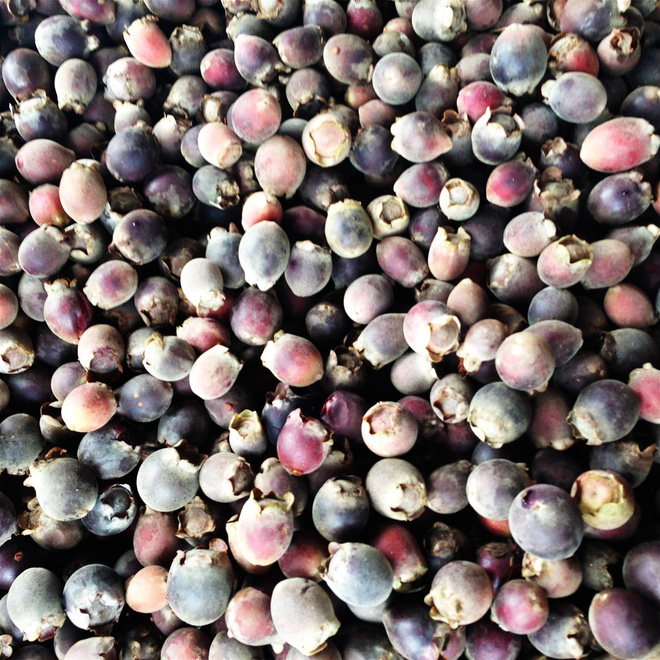 phu quoc mua nay dep lam anh oi minh cung di het 23 dia diem sau cho ky trang mat mong mo nhe