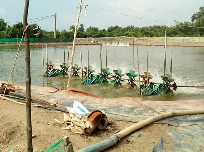 nguoi dan ong mat toan bo duong vat tinh hoan vi bi canh quat may nuoi tom cuon vao