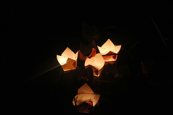 chan chinh hoat dong tha den hoa dang vang ma tren song huong