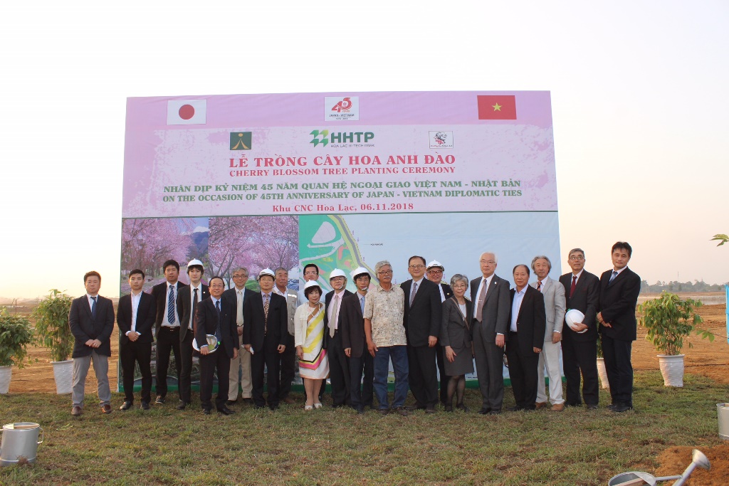 150 cay hoa anh dao duoc trong tai khu cnc hoa lac