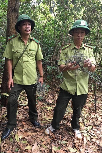 bay thu day dac tren dinh nui hong linh