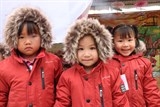 to chuc gni xay dung ngoi truong thu 37 tai viet nam