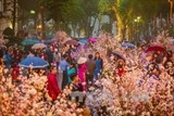 da lat xo lech va nhung noi buon cua thanh pho suong