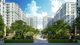 tap doan flc bo nhiem ba bui hai huyen lam tong giam doc