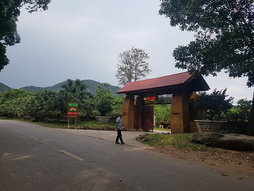 tiep tuc thanh tra toan dien viec quan ly su dung dat rung o soc son