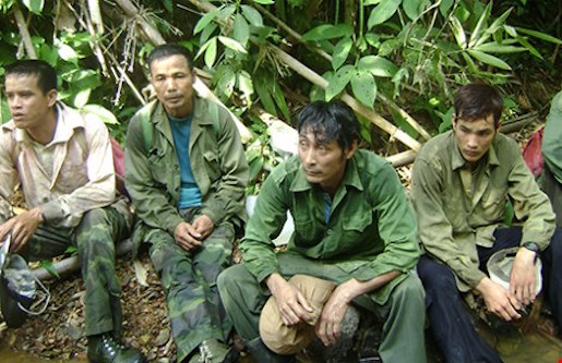 dong nai phan ung du an duong xuyen rung cat tien