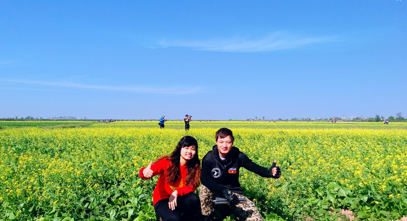 mua hoa cai nhuom vang vung thon que thai binh