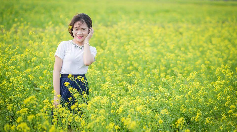 mua hoa cai nhuom vang vung thon que thai binh