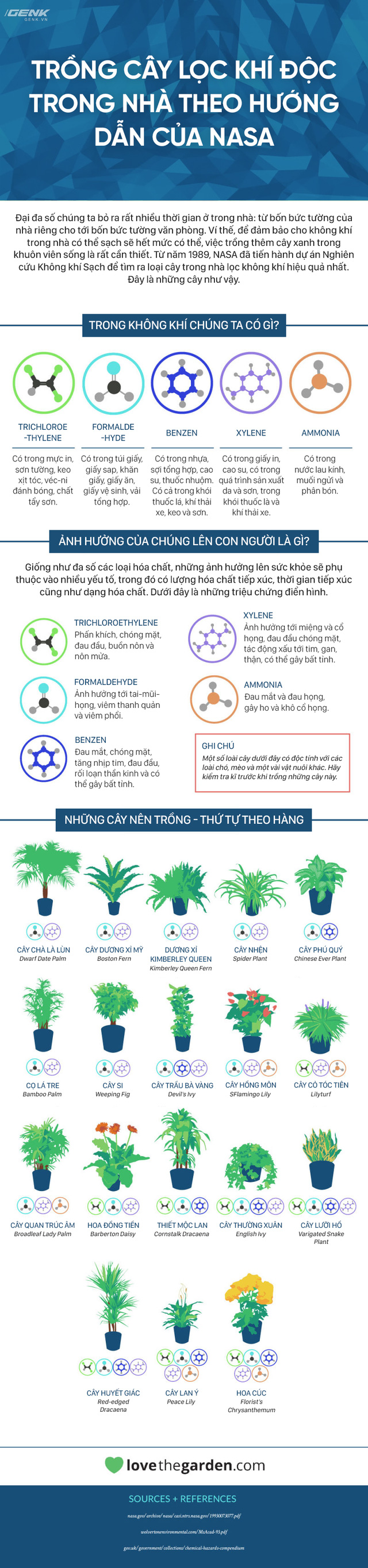 infographic day la nhung cay ma nasa khuyen ban nen trong trong nha