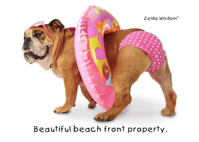 6 cau chuyen ve nhung con nguoi thanh cong se chung minh thanh cong den o bat cu do tuoi nao