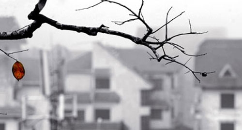 chieu toi va dem 712 khong khi lanh anh huong den mien bac trieu cuong o nam bo van o muc cao