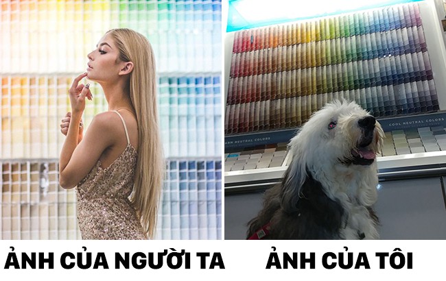 thay nguoi ta chup anh song ao chu cho cung du don bat chuoc nhung ma khong toi