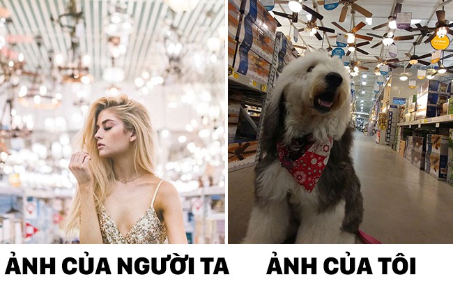 thay nguoi ta chup anh song ao chu cho cung du don bat chuoc nhung ma khong toi