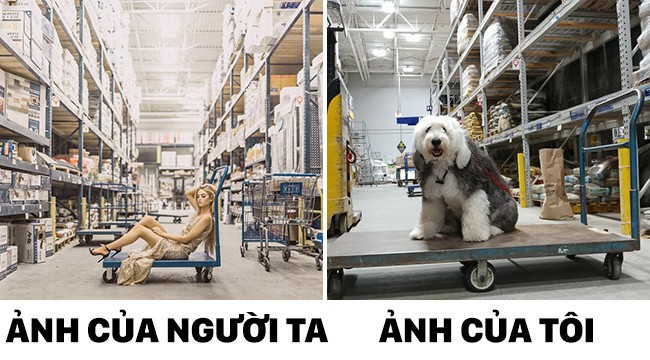 thay nguoi ta chup anh song ao chu cho cung du don bat chuoc nhung ma khong toi