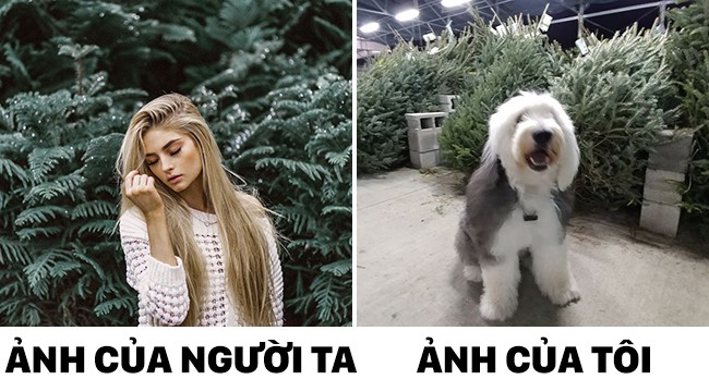 thay nguoi ta chup anh song ao chu cho cung du don bat chuoc nhung ma khong toi