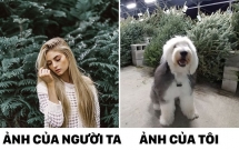 thay nguoi ta chup anh song ao chu cho cung du don bat chuoc nhung ma khong toi